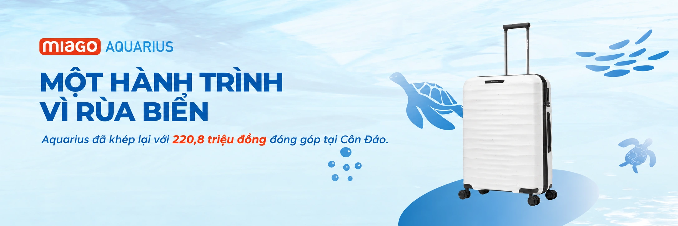 MIAGO Aquarius – Một hành trình vì rùa biển. Aquarius đã khép lại với 220,8 triệu đồng đóng góp tại Côn Đảo.